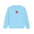 Sweatshirt Baby Blue
